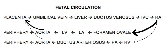 FETAL CIRCULATION - Pediatrics Board Review - PBR Members Section